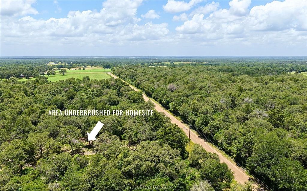TBD County Road 378 (10 acres), Caldwell, TX 77836 — photo 2