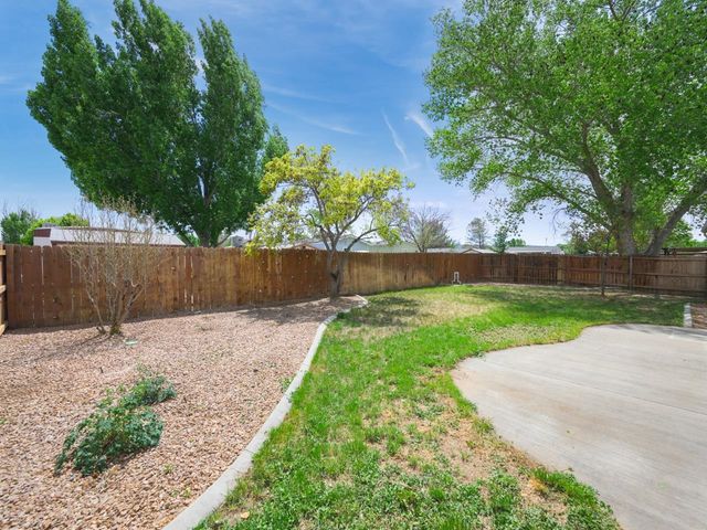 1458 Powell Street, Fruita, CO 81521