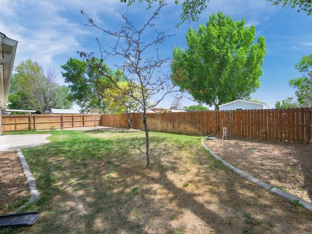 1458 Powell Street, Fruita, CO 81521