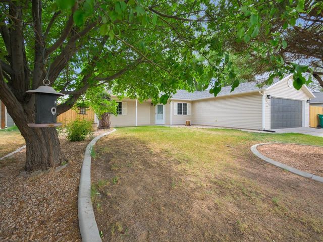 1458 Powell Street, Fruita, CO 81521