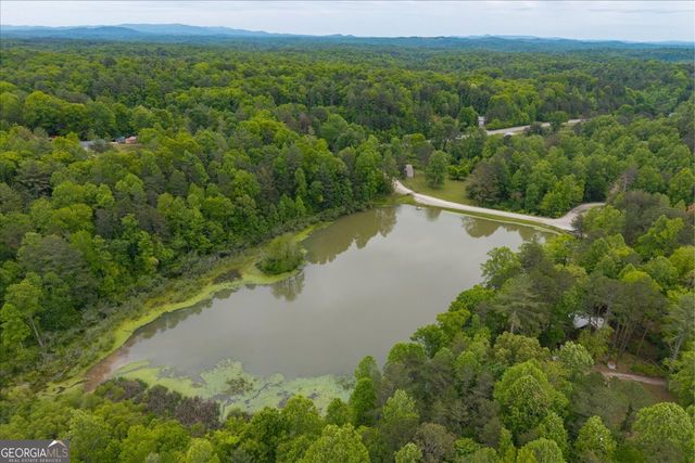 65 Bay Ct, Ellijay, GA 30540