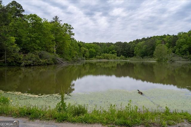 65 Bay Ct, Ellijay, GA 30540