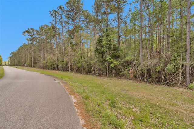TBD TR4 Cedar Lane Loop, Willis, TX 77378