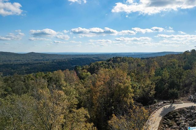 247 HIGHLAND VIEW DRIVE, Birmingham, AL 35242