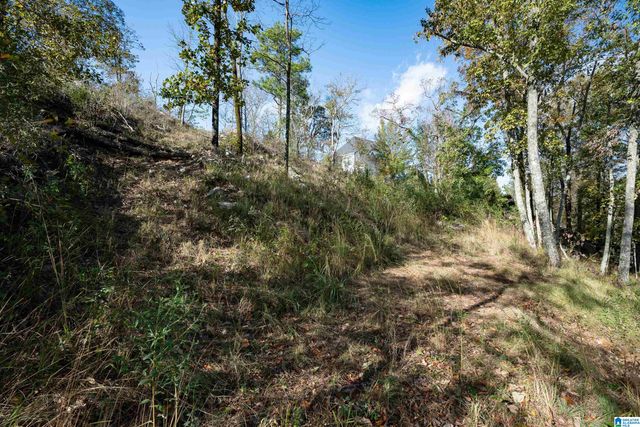 247 HIGHLAND VIEW DRIVE, Birmingham, AL 35242