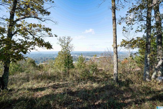 247 HIGHLAND VIEW DRIVE, Birmingham, AL 35242