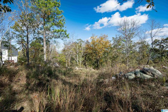 247 HIGHLAND VIEW DRIVE, Birmingham, AL 35242