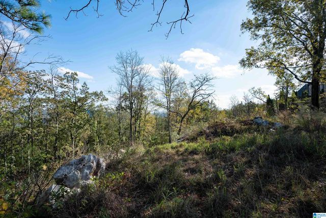 247 HIGHLAND VIEW DRIVE, Birmingham, AL 35242