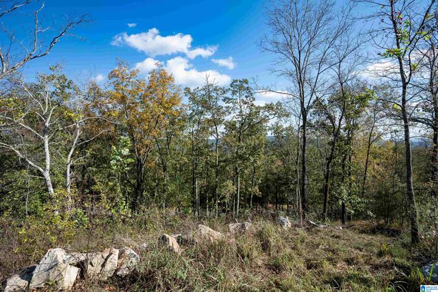 247 HIGHLAND VIEW DRIVE, Birmingham, AL 35242