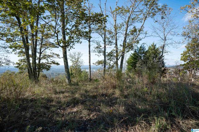 247 HIGHLAND VIEW DRIVE, Birmingham, AL 35242