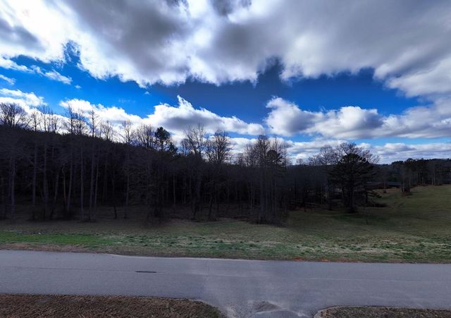 lot 44 Bayside Lane, Blairsville, GA 30512