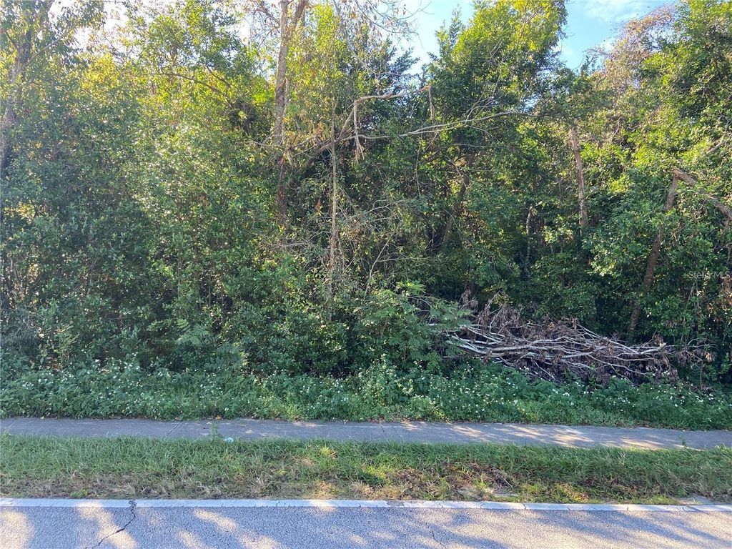 1296 S SEAGATE DRIVE, Deltona, FL 32725