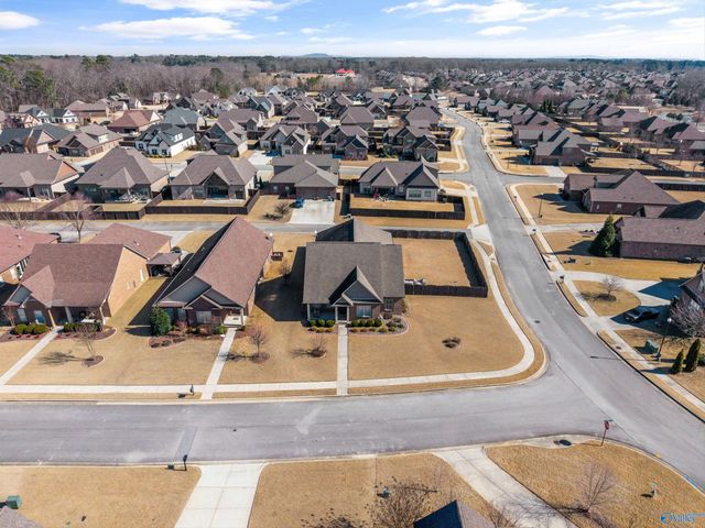 17342 Chinaberry Road, Athens, AL 35613