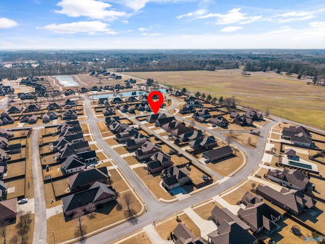 17342 Chinaberry Road, Athens, AL 35613