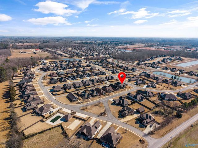 17342 Chinaberry Road, Athens, AL 35613