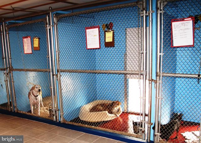 20 VICTORY LN, Castleton, VA 22716