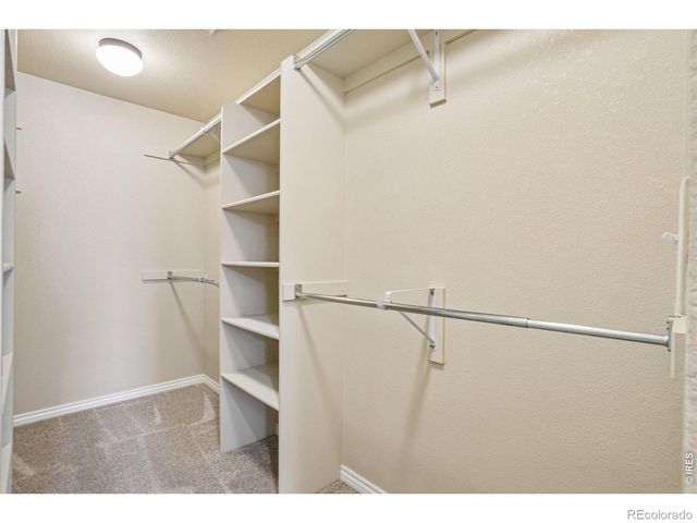 9073 Plainsman Drive, Wellington, CO 80549