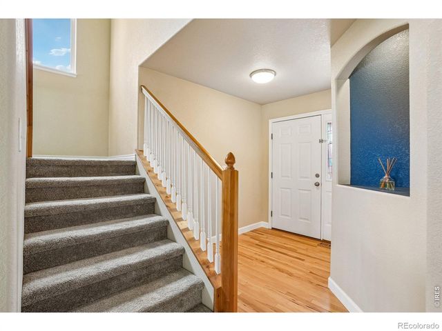 9073 Plainsman Drive, Wellington, CO 80549