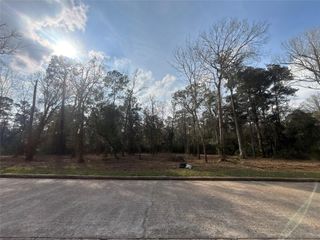 1742 Woodway Drive, Woodbranch, TX 77357