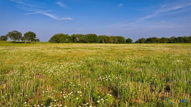 2095 County Road 442, Thrall, TX 76578