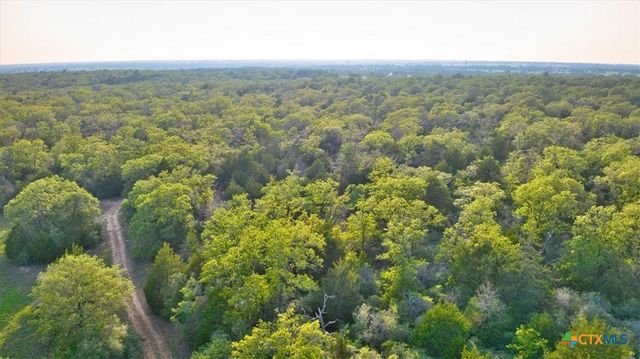 2095 County Road 442, Thrall, TX 76578