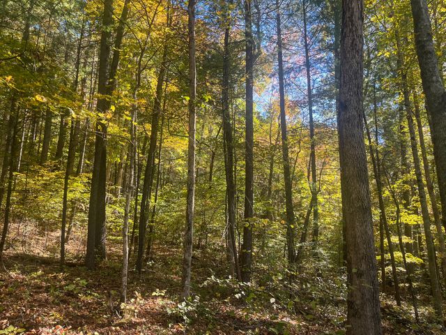 0 0 South Fork Road, Stanton, KY 40380