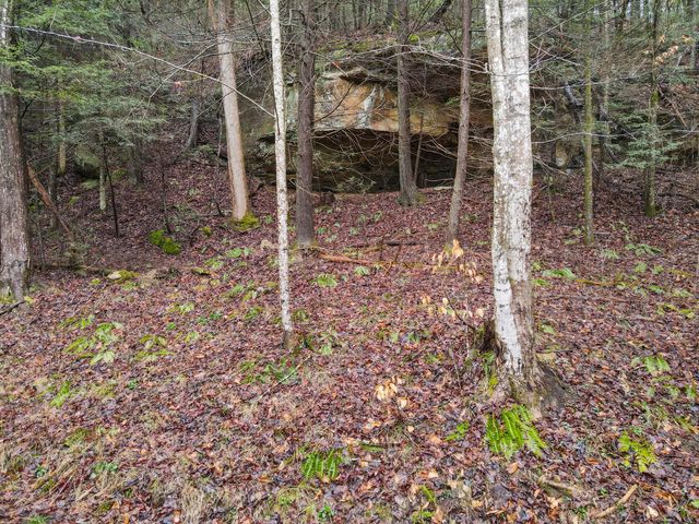 0 0 South Fork Road, Stanton, KY 40380