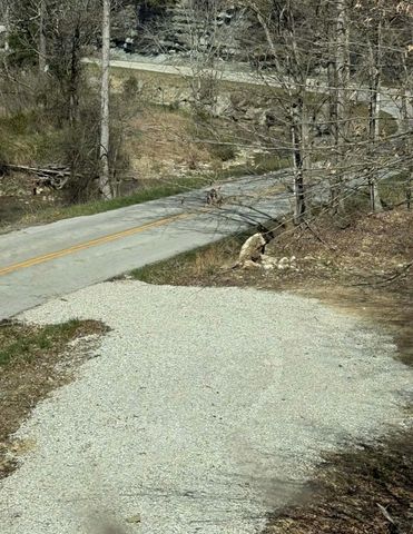 0 0 South Fork Road, Stanton, KY 40380