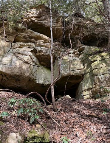0 0 South Fork Road, Stanton, KY 40380