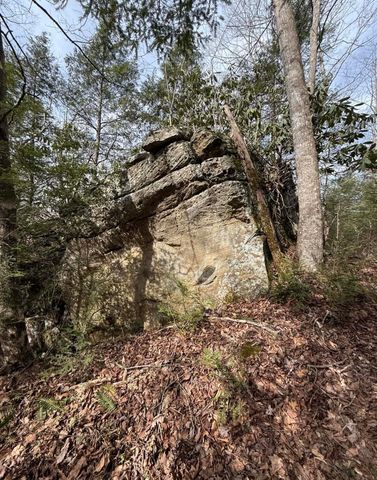 0 0 South Fork Road, Stanton, KY 40380
