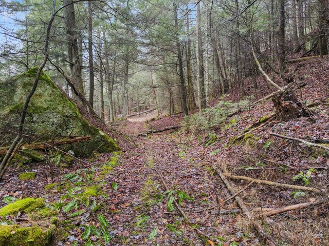 0 0 South Fork Road, Stanton, KY 40380