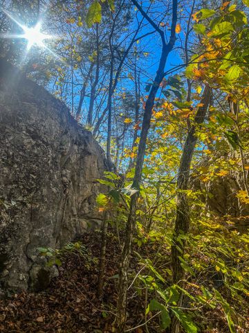 0 0 South Fork Road, Stanton, KY 40380