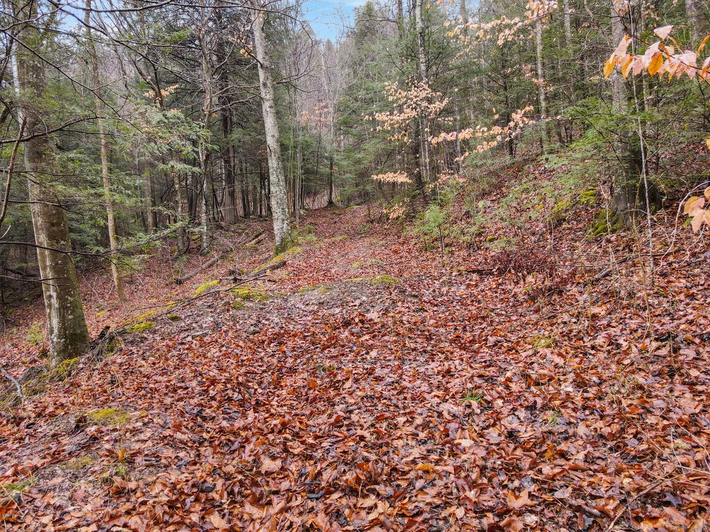 0 0 South Fork Road, Stanton, KY 40380