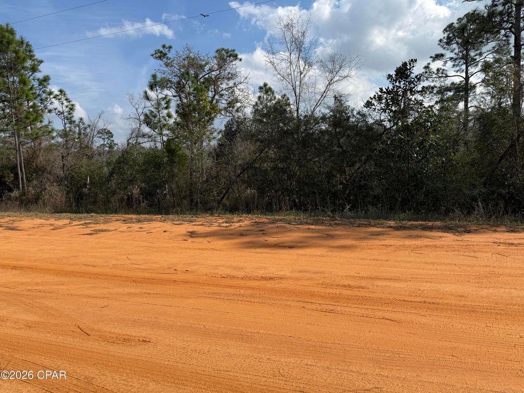 00 Mayflower Drive, Marianna, FL 32448