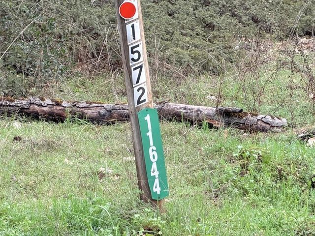 11572 Dead Horse Rd, Grass Valley, CA 95949
