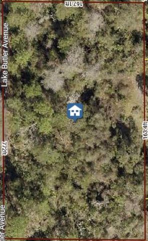 615 LAKE BUTLER AVENUE, Osteen, FL 32764