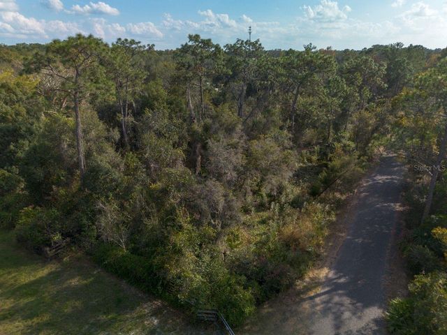 615 LAKE BUTLER AVENUE, Osteen, FL 32764