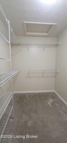5603 Collington Ct, Louisville, KY 40241