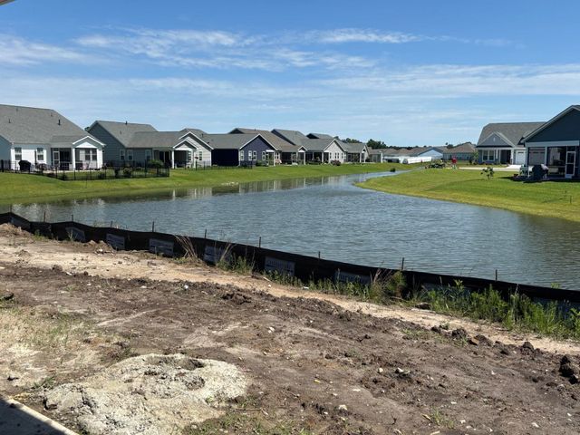 2115 Gooseberry Way, Longs, SC 29568