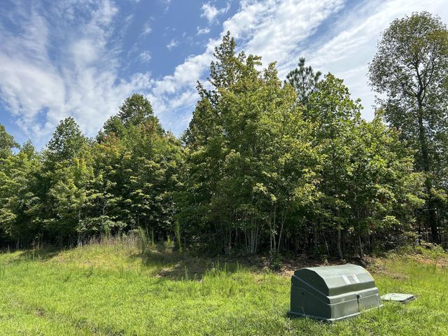 174 Volunteer Street, Jasper, TN 37347