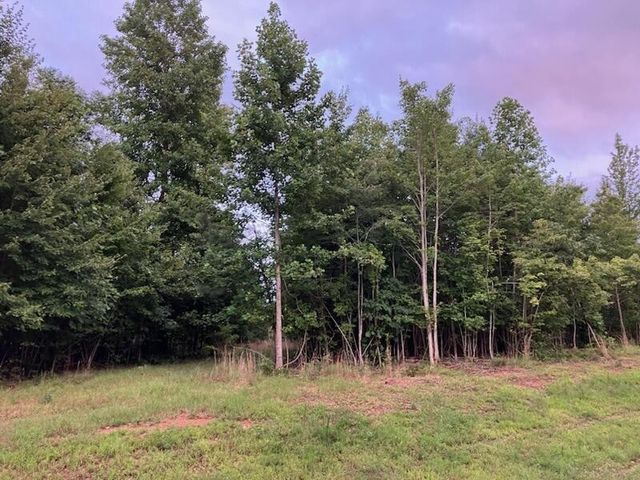 174 Volunteer Street, Jasper, TN 37347