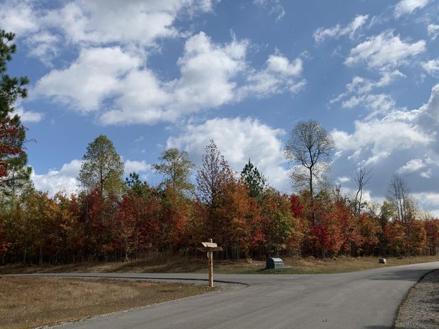 174 Volunteer Street, Jasper, TN 37347