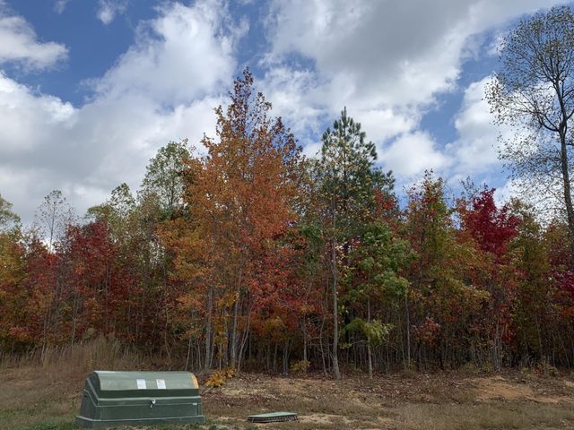 174 Volunteer Street, Jasper, TN 37347