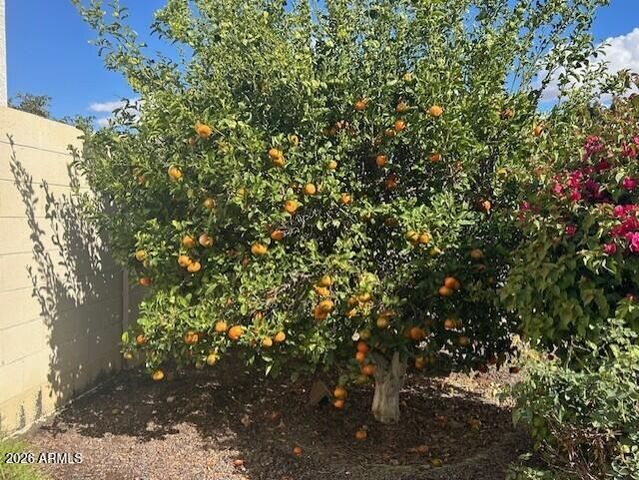 18324 W OREGON Avenue, Litchfield Park, AZ 85340