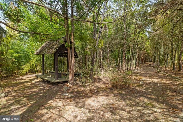 65 COVERED BRIDGE RD, New Hope, PA 18938
