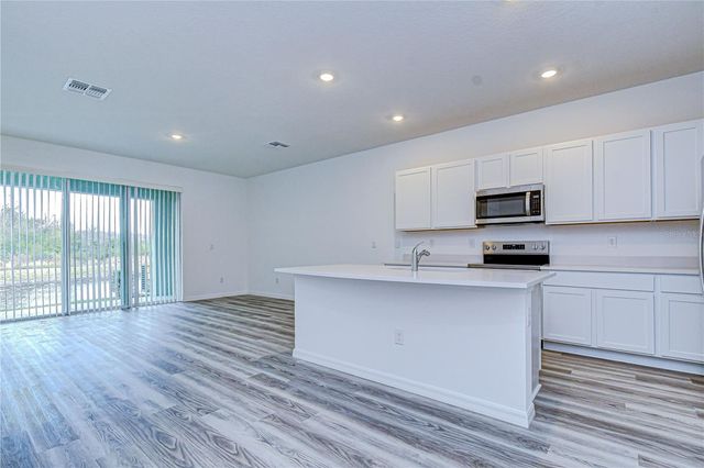 17485 SPANISH OAK LOOP, Land O Lakes, FL 34638