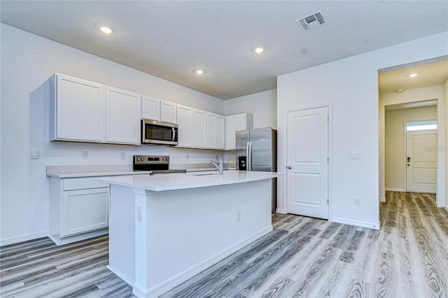 17485 SPANISH OAK LOOP, Land O Lakes, FL 34638