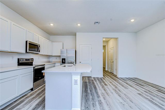 17485 SPANISH OAK LOOP, Land O Lakes, FL 34638