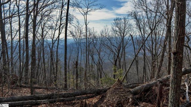 146 Glassy Falls Trail, Travelers Rest, SC 29690