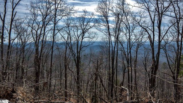 146 Glassy Falls Trail, Travelers Rest, SC 29690